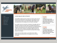 Template Express: Dieren paard